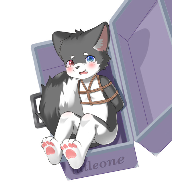 委托