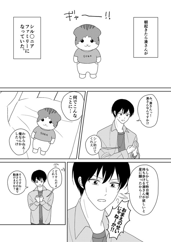 初めてのシル◯ニアファミリー