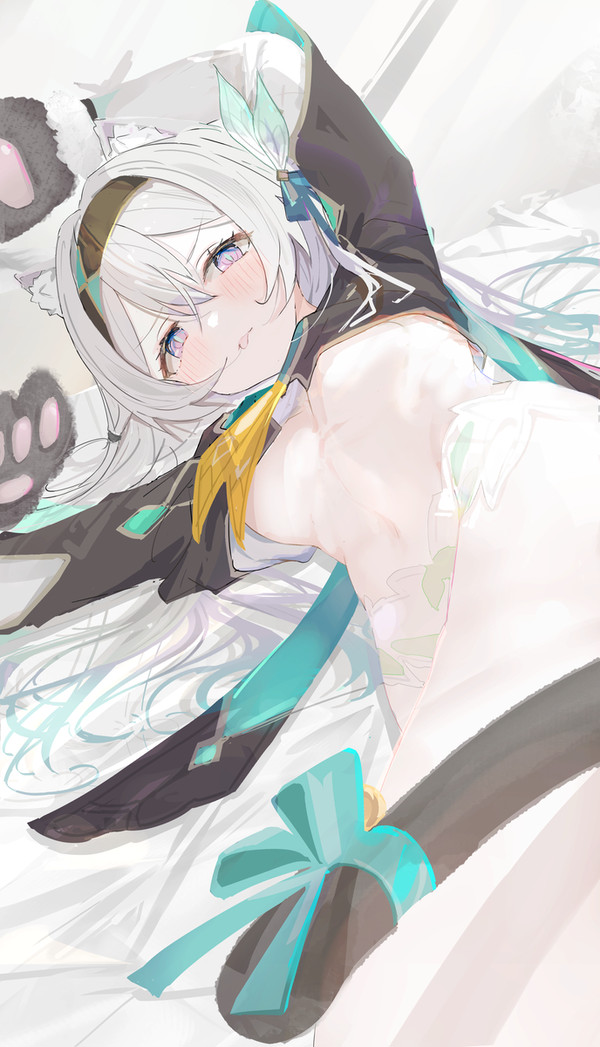 猫ホタルちゃん