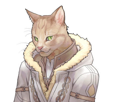 cheese cat