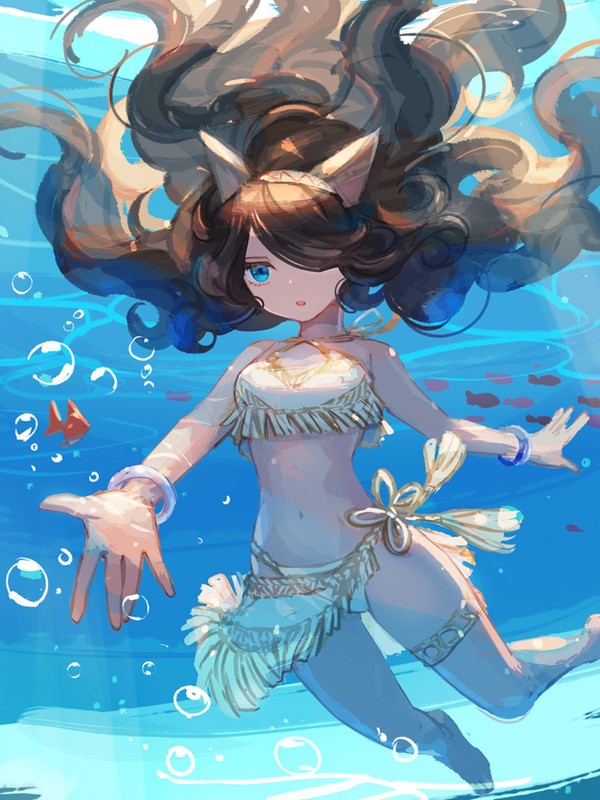 夏キャス