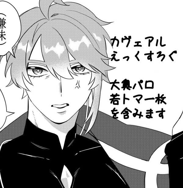 カヴェアルログ1