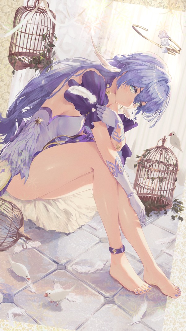 Robin