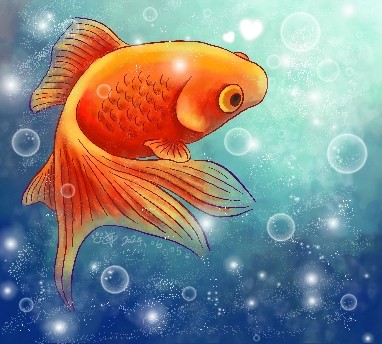 金魚兒2🐟