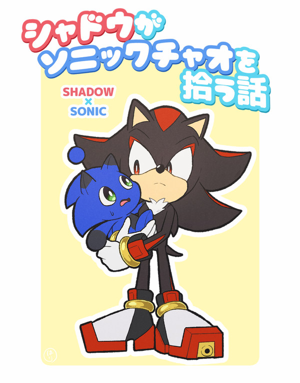 シャドウがソニックチャオを拾う話