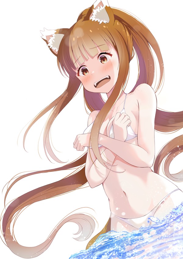 狼と香辛料 水着姿のホロちゃん