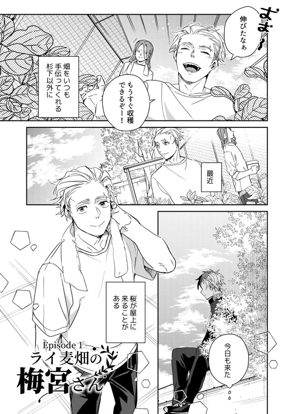 ①ライ麦畑のうめみやさん