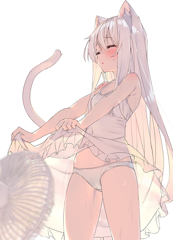 白猫ちゃん