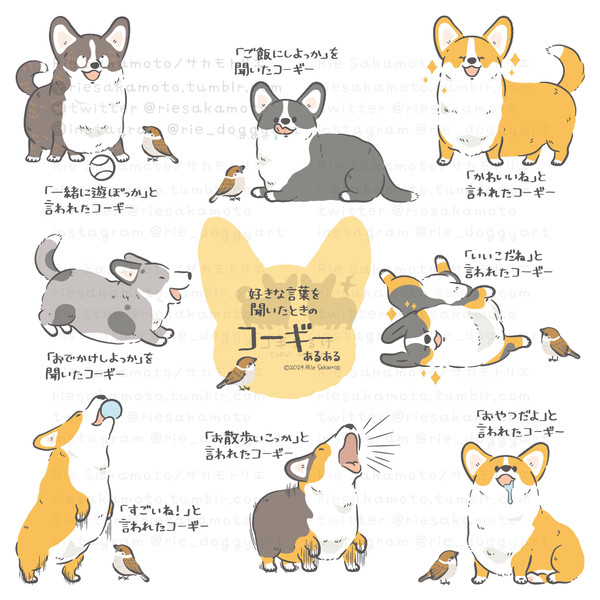好きな言葉を聞いたときのコーギーあるある