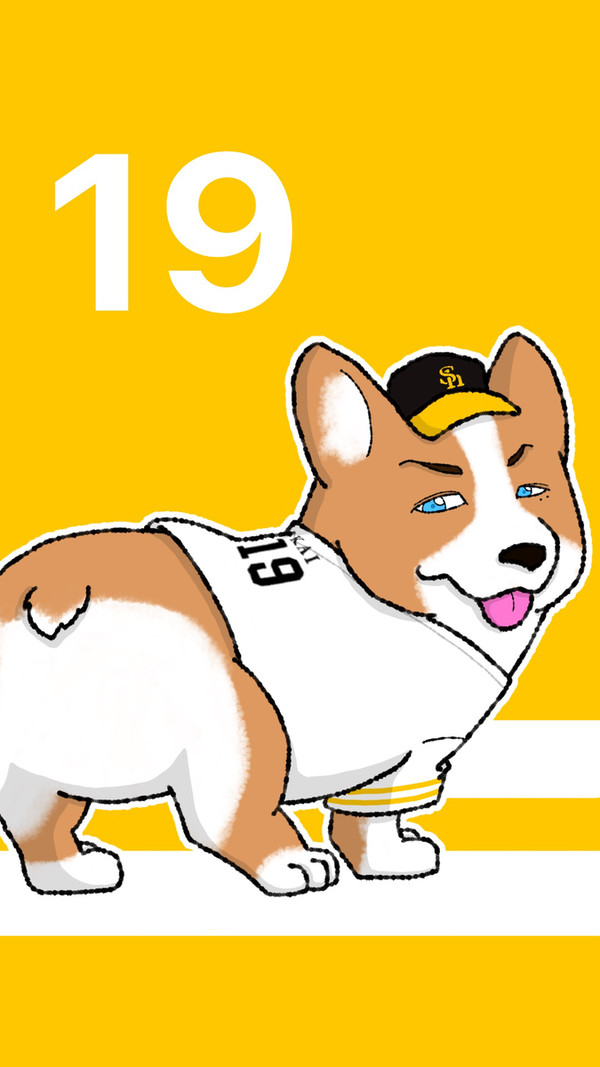 コーギー拓也