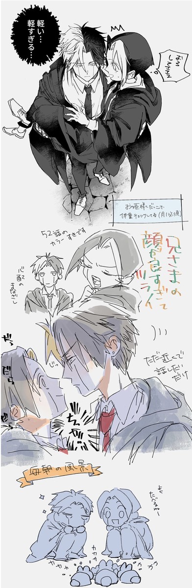 レイフィン1