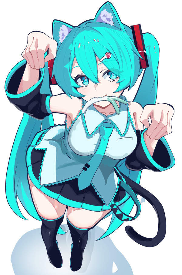 猫