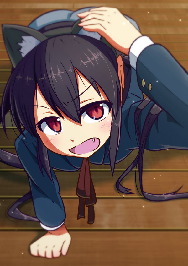 猫耳代表