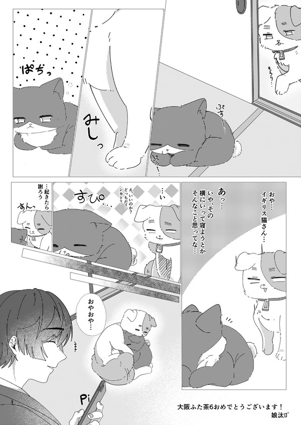 【朝菊】ふた茶無配ペーパー