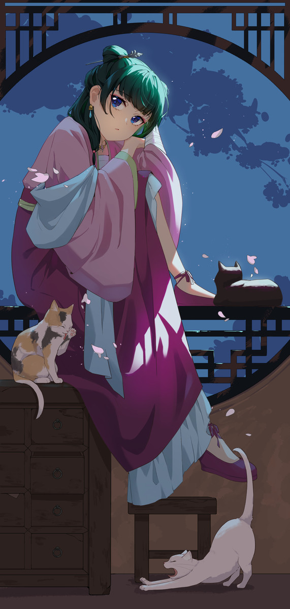 猫猫