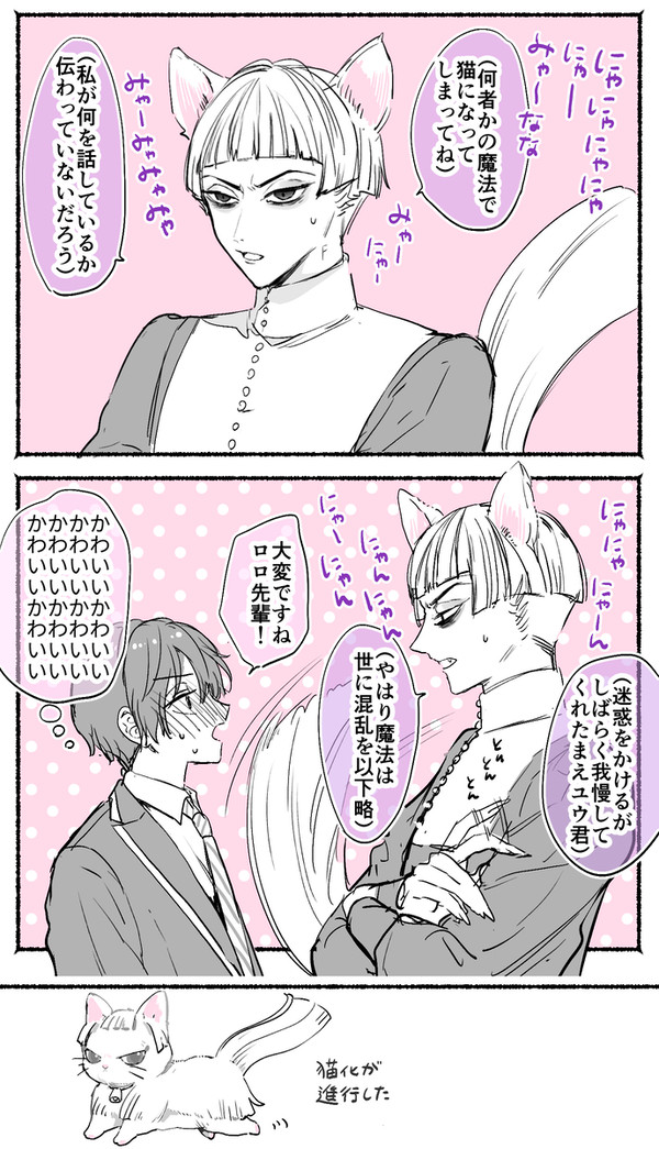 ねこちゃんロロ監