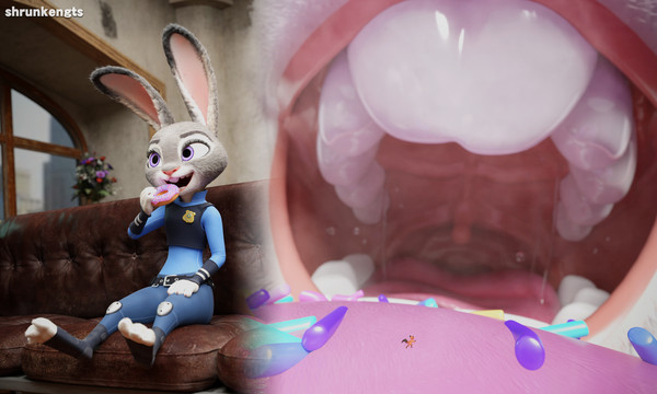 Judy's Donut