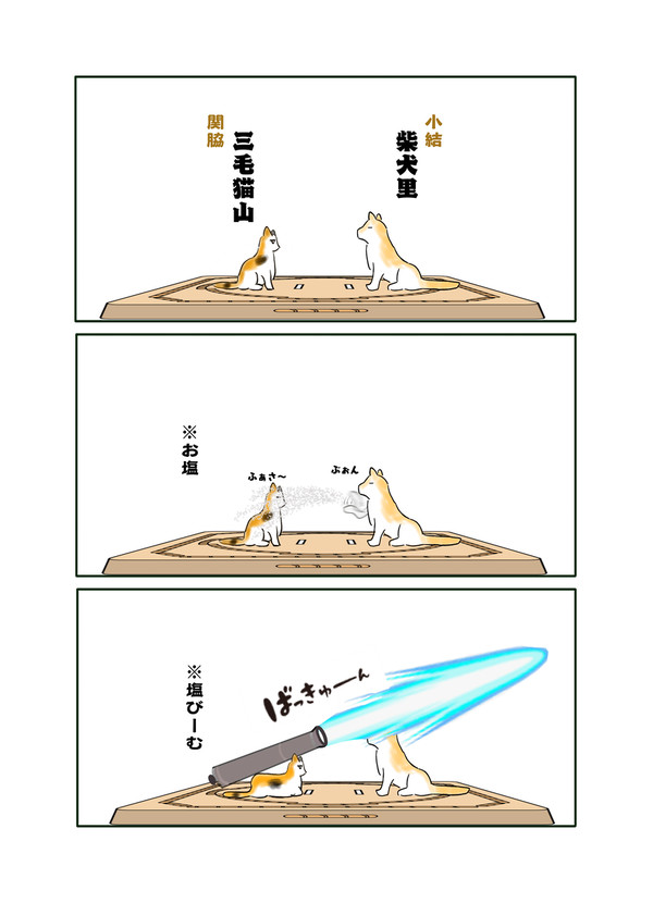雰囲気で相撲をとる犬猫