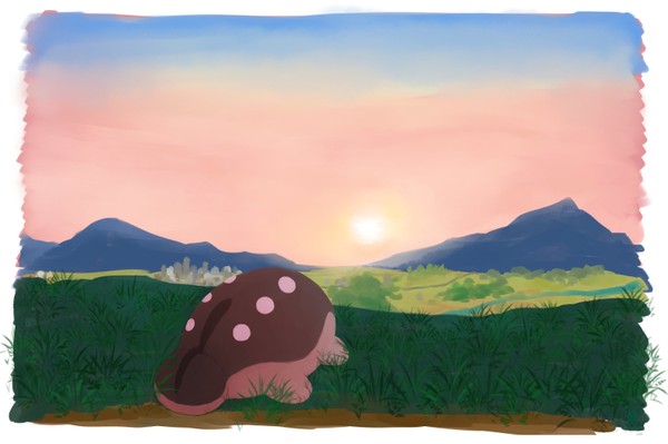 夕方のどおたん
