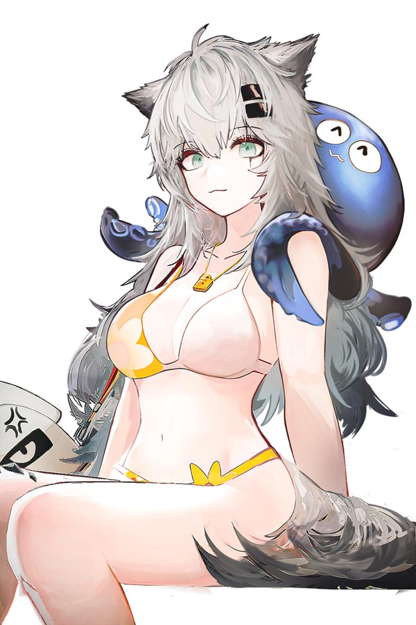 ラップランド