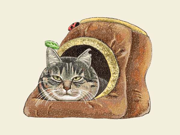 猫たちとチンチラ
