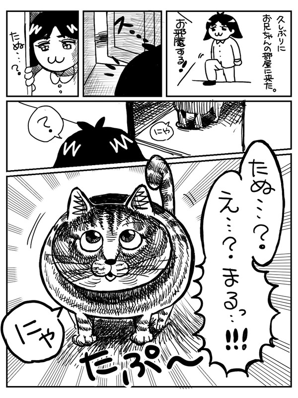 たぬ