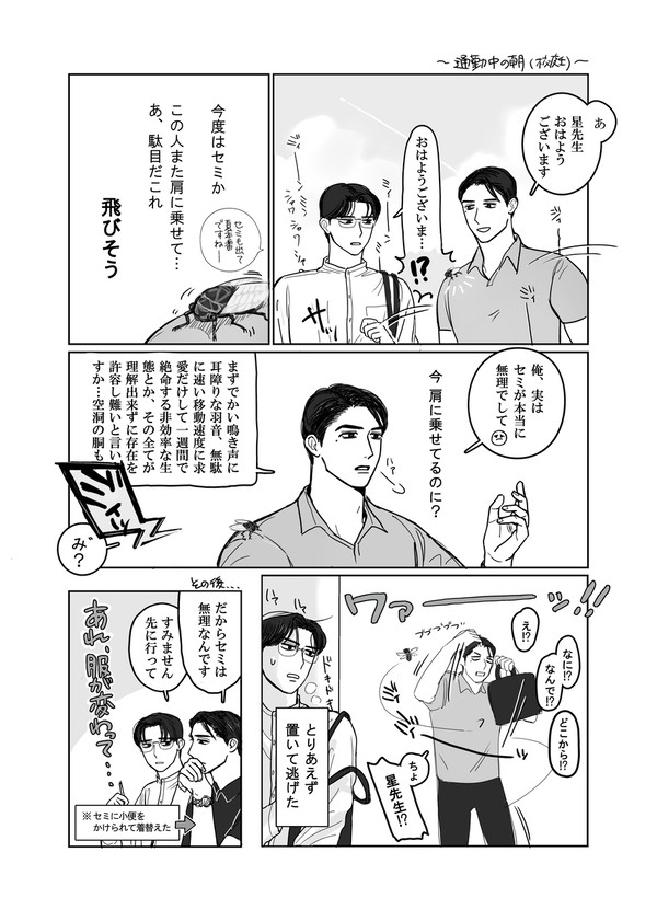 セミ