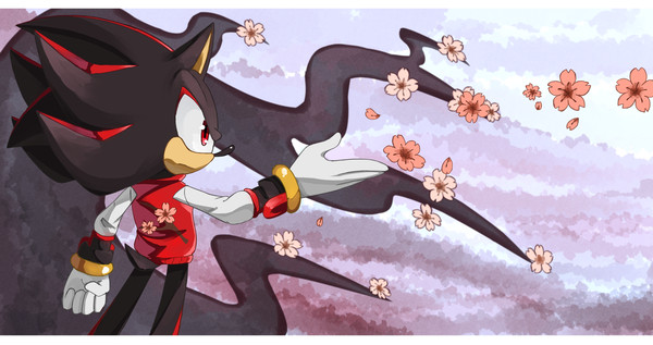 Shadamy Sakura
