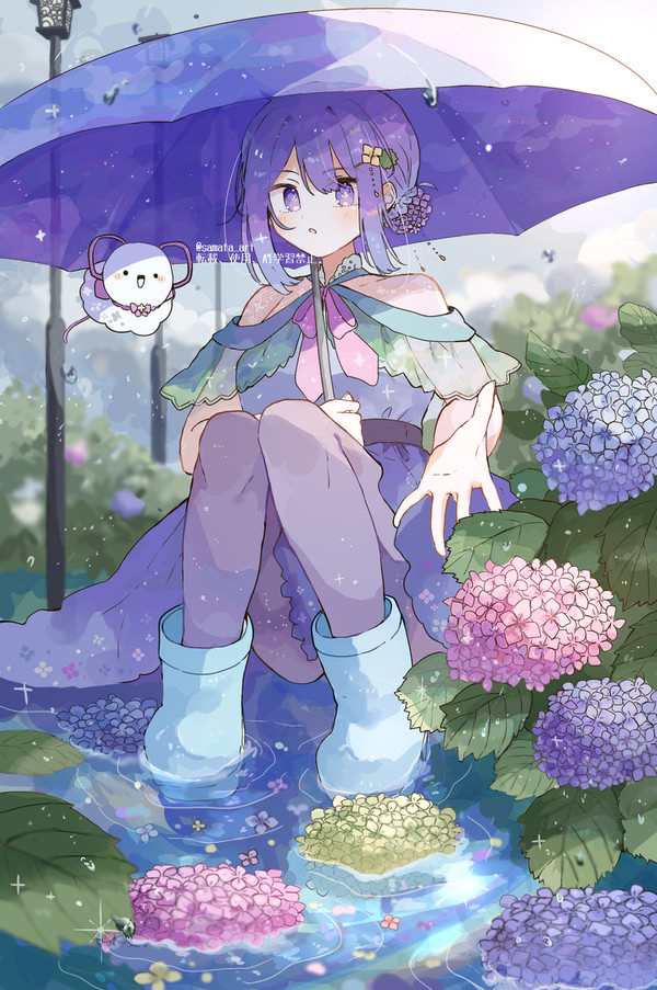 梅雨明けと紫陽花
