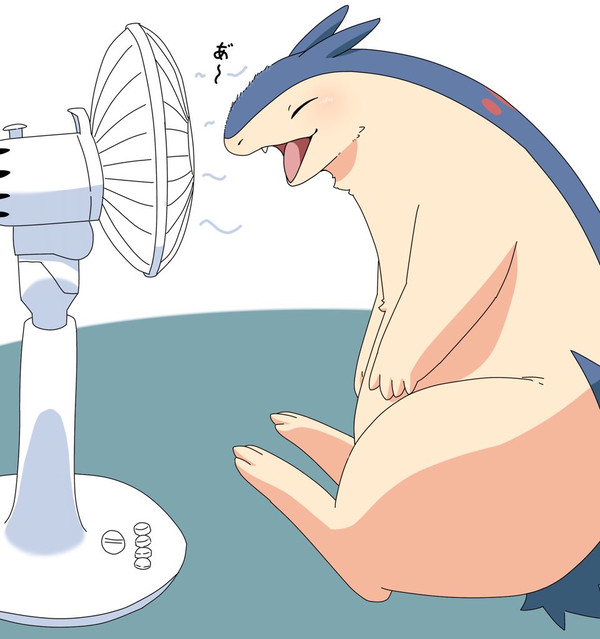 せんぷうき