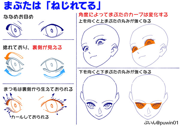 目を【立体的】に見せるまぶたの流れ