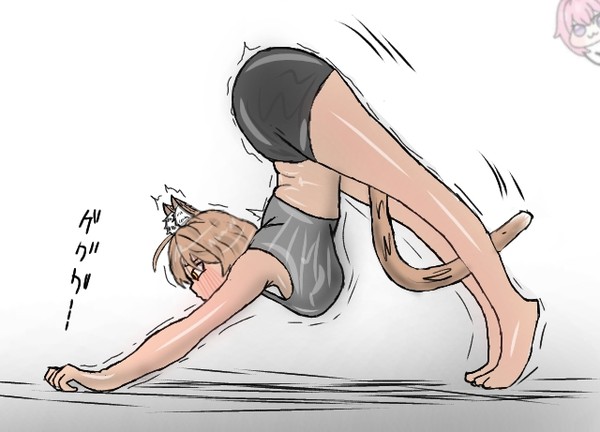 Anis:cat pose