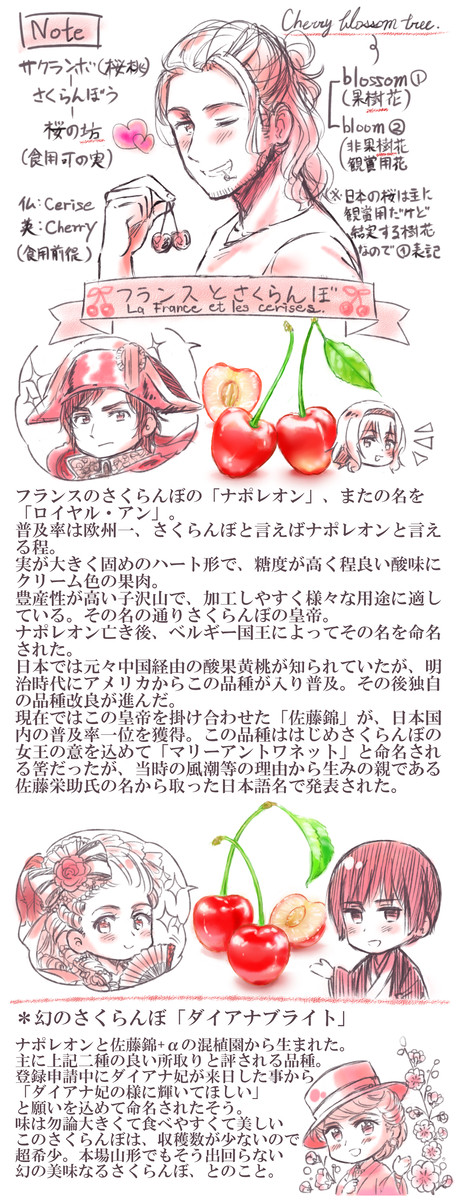フランスとさくらんぼ