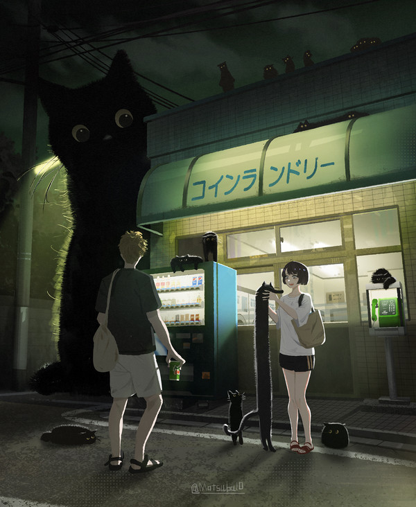 022/なわばり