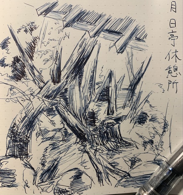 月日亭休憩所から見る春日山原生林