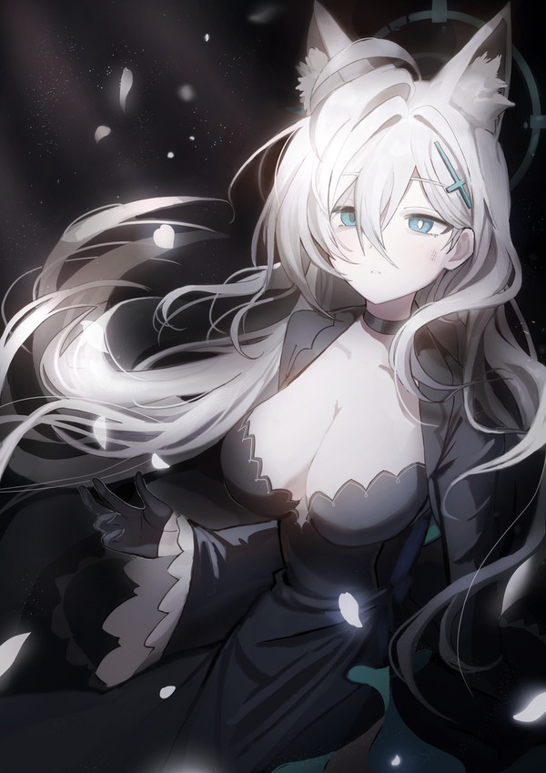 シロコ*テラー