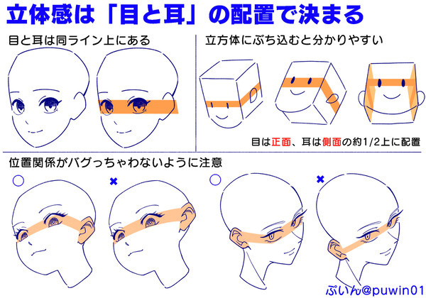 顔の奥行き感は「目と耳の位置関係」が大事