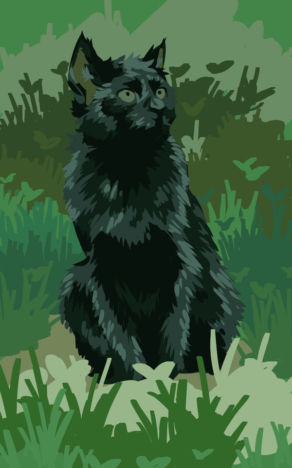 black cat