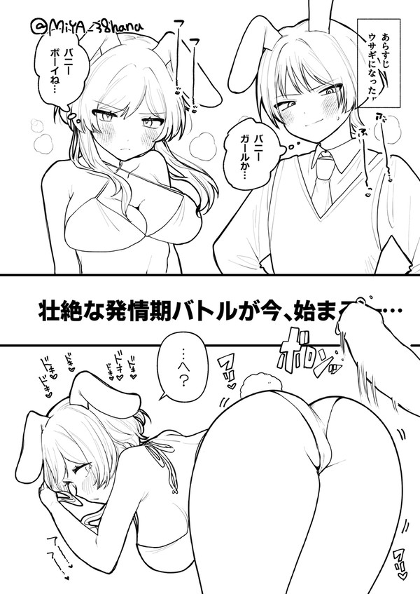 ほうほた🔞バニーの日🐰