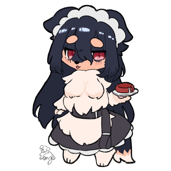 うちの犬pic