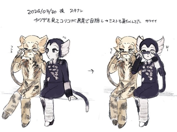 猫詰め