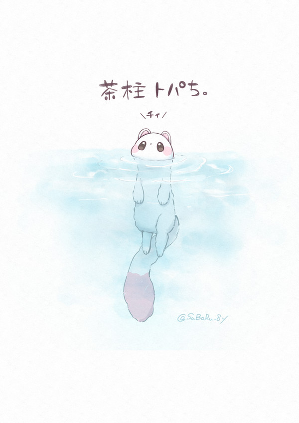 茶柱