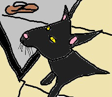 CATS