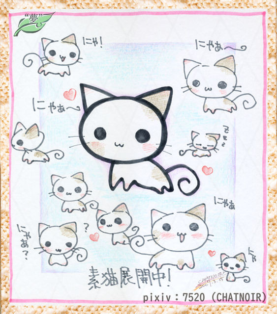 20070315-素猫