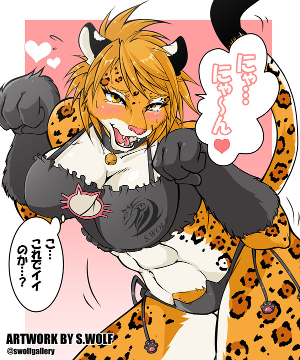 ねこランジェリー🐱