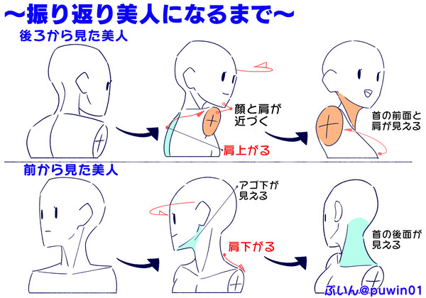 首の【ひねり】の描き方