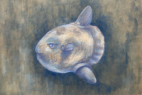 浮く