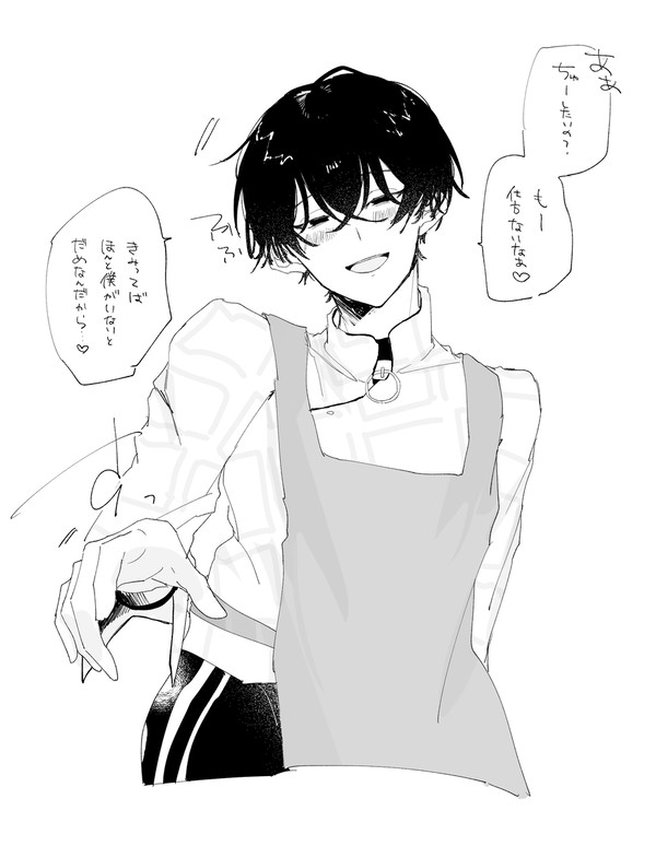 crsm夢