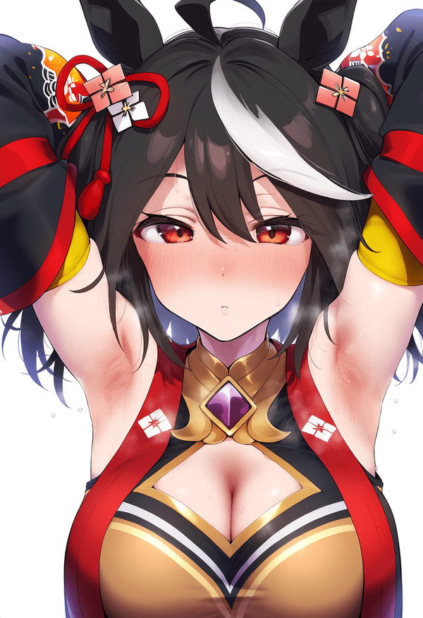 ハチャワキカーニバル