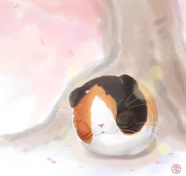 すねこすり